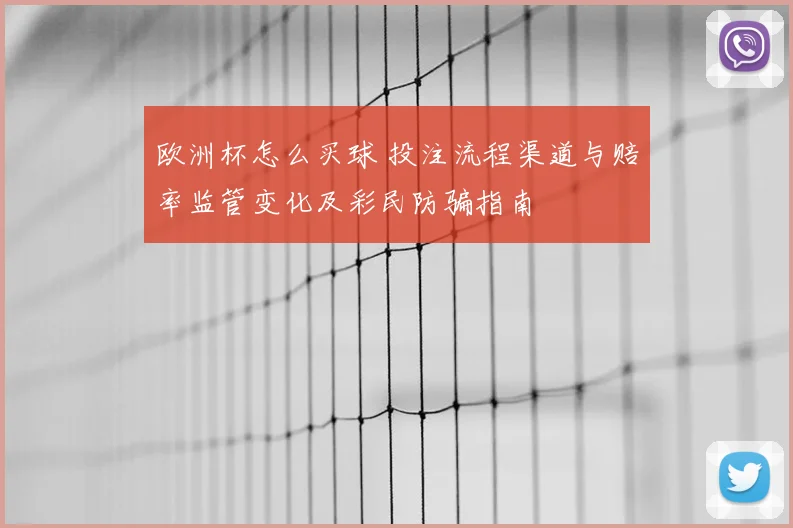欧洲杯怎么买球 投注流程渠道与赔率监管变化及彩民防骗指南