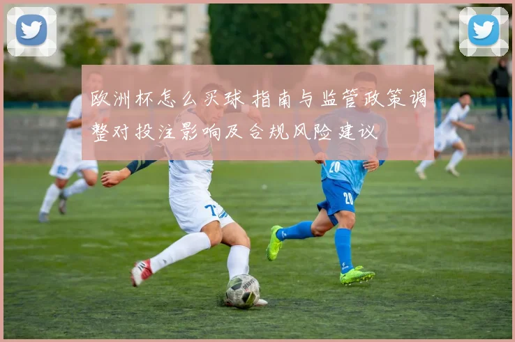 欧洲杯怎么买球 指南与监管政策调整对投注影响及合规风险建议
