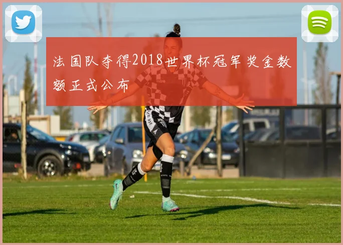 法国队夺得2018世界杯冠军奖金数额正式公布