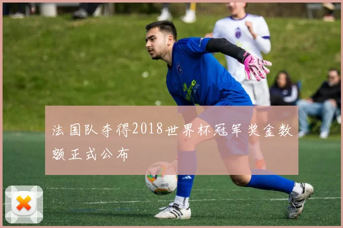 法国队夺得2018世界杯冠军奖金数额正式公布