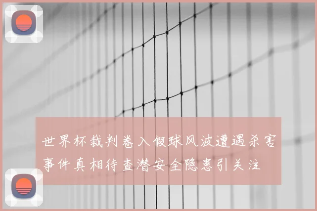 世界杯裁判卷入假球风波遭遇杀害事件真相待查潜安全隐患引关注