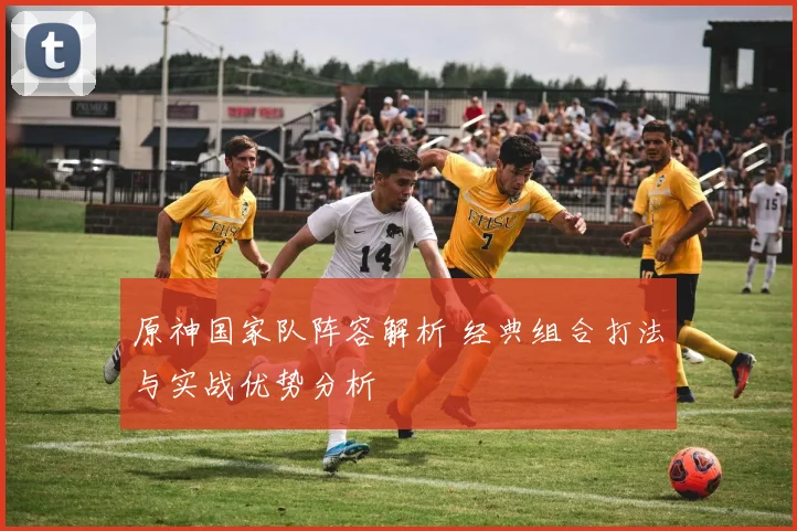 原神国家队阵容解析 经典组合打法与实战优势分析