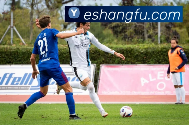 博亚汇appAPP 体育赛事宣传图